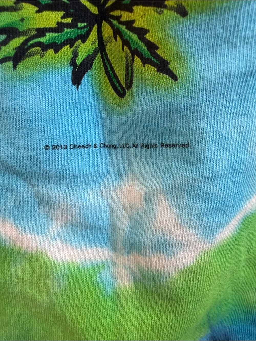 Liquid Blue Cheech & Chong Tie-Dye Tee in Blue & Green - Picture 4 of 5